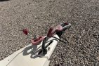 Rulota Avento Gran Tourismo 470 TF